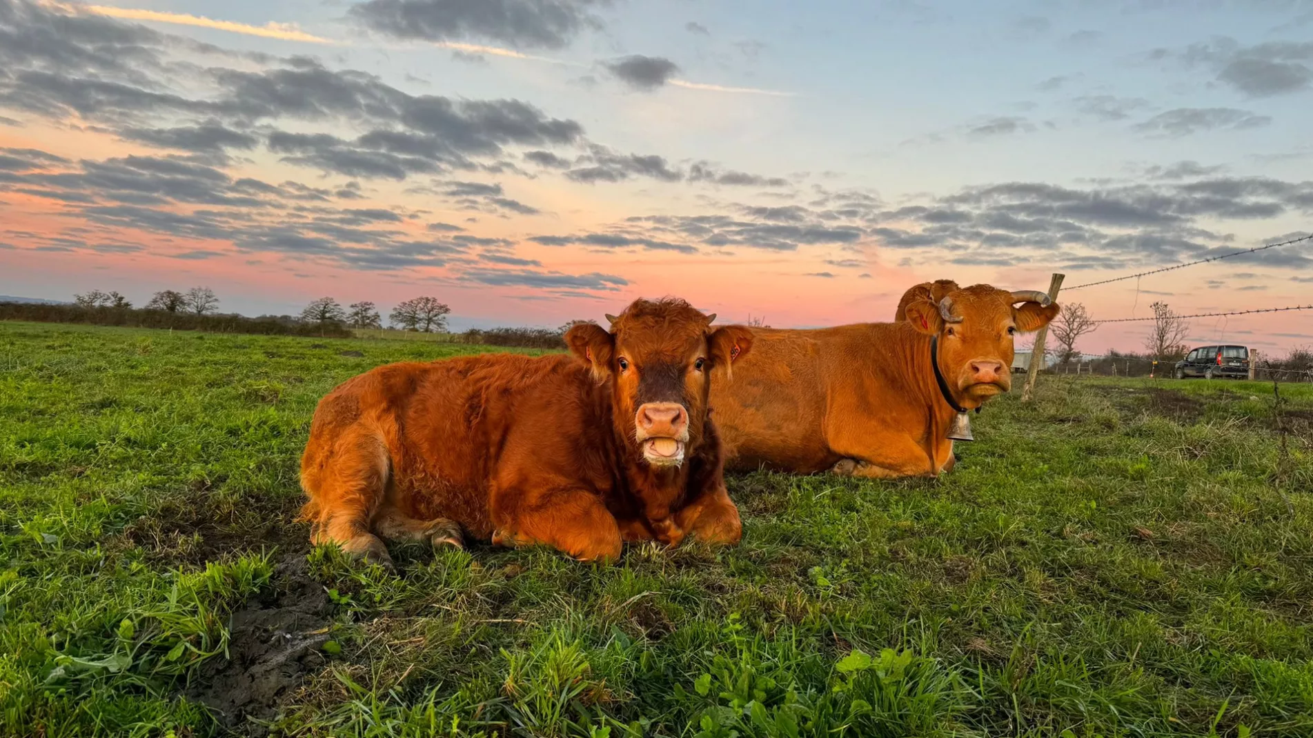  La vallée des vaches